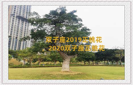 双子座2019正桃花，2020双子座正桃花