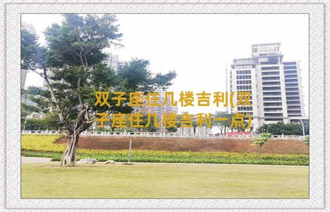 双子座住几楼吉利(双子座住几楼吉利一点)