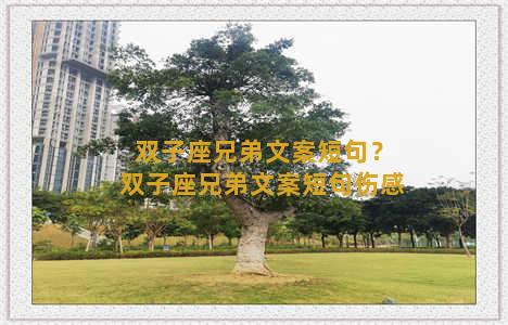 双子座兄弟文案短句？双子座兄弟文案短句伤感