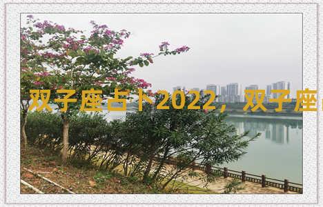 双子座占卜2022，双子座占卜最新