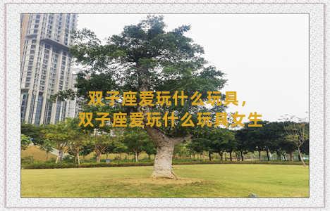 双子座爱玩什么玩具，双子座爱玩什么玩具女生