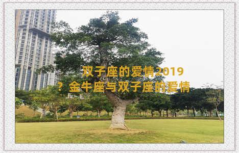 双子座的爱情2019？金牛座与双子座的爱情