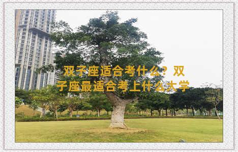 双子座适合考什么？双子座最适合考上什么大学