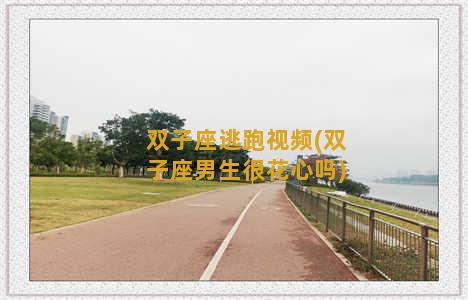 双子座逃跑视频(双子座男生很花心吗)