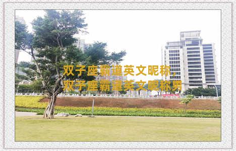 双子座霸道英文昵称，双子座霸道英文昵称男