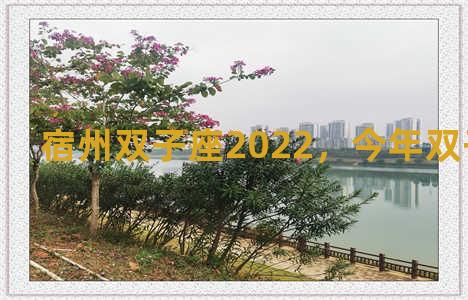 宿州双子座2022，今年双子座运势