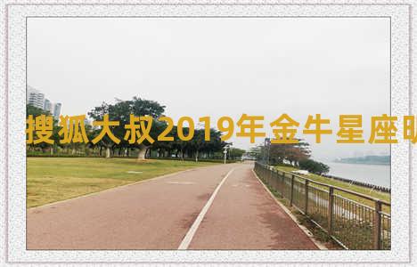 搜狐大叔2019年金牛星座明日的运势