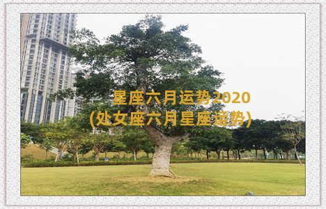 星座六月运势2020(处女座六月星座运势)