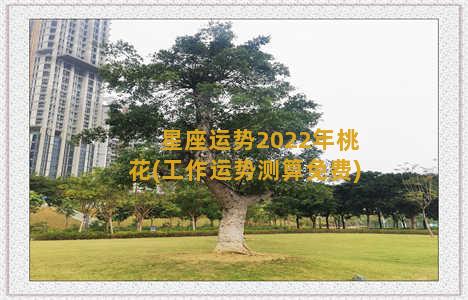 星座运势2022年桃花(工作运势测算免费)