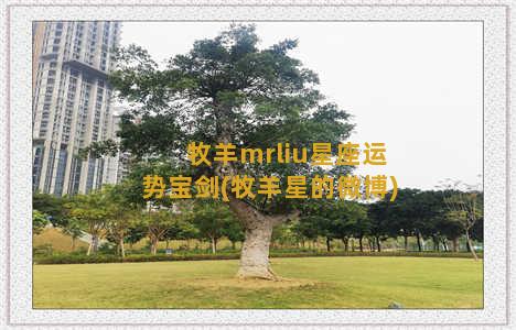 牧羊mrliu星座运势宝剑(牧羊星的微博)